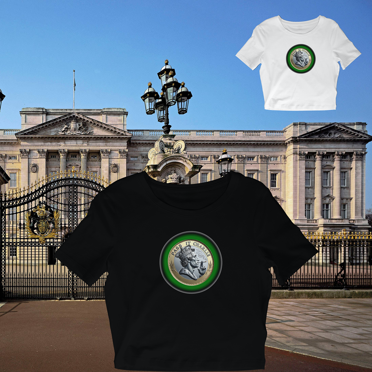 Pass It Charlie Crop Top